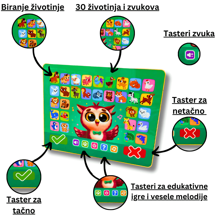 Sova Pametnica - Učenje O Životinjama Kroz Igru